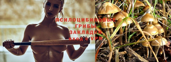 mdpv Белокуриха