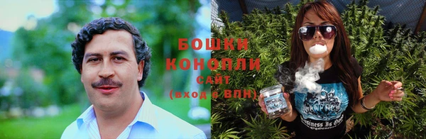 каннабис Беломорск