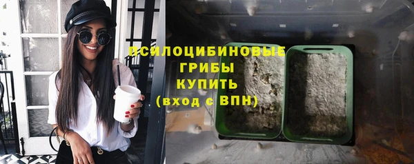 mdpv Белокуриха